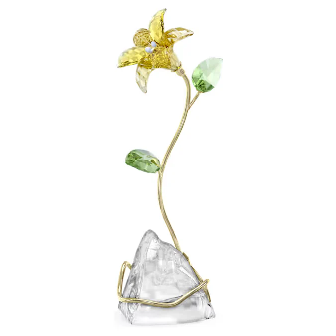 Florere Lily - Image 2