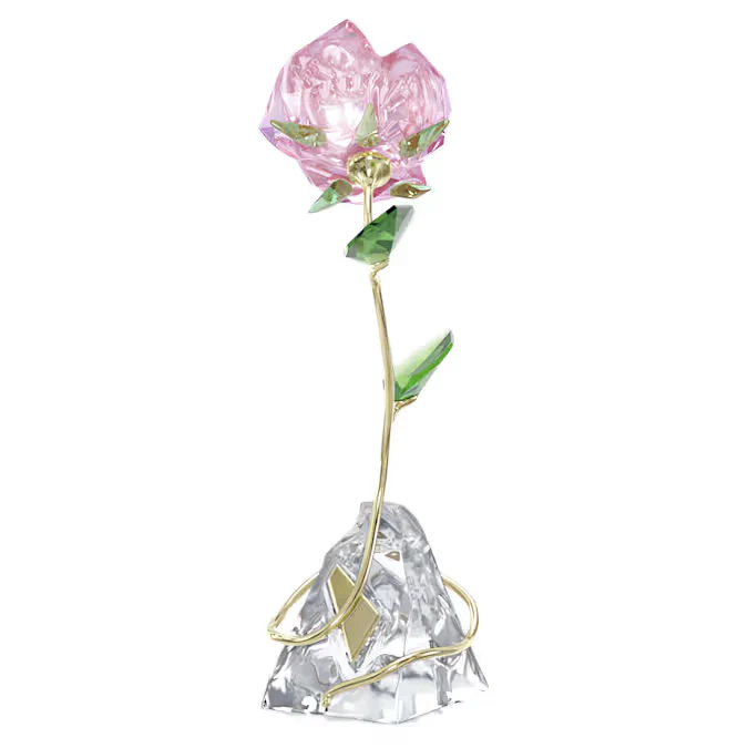 Florere Rose - Image 2