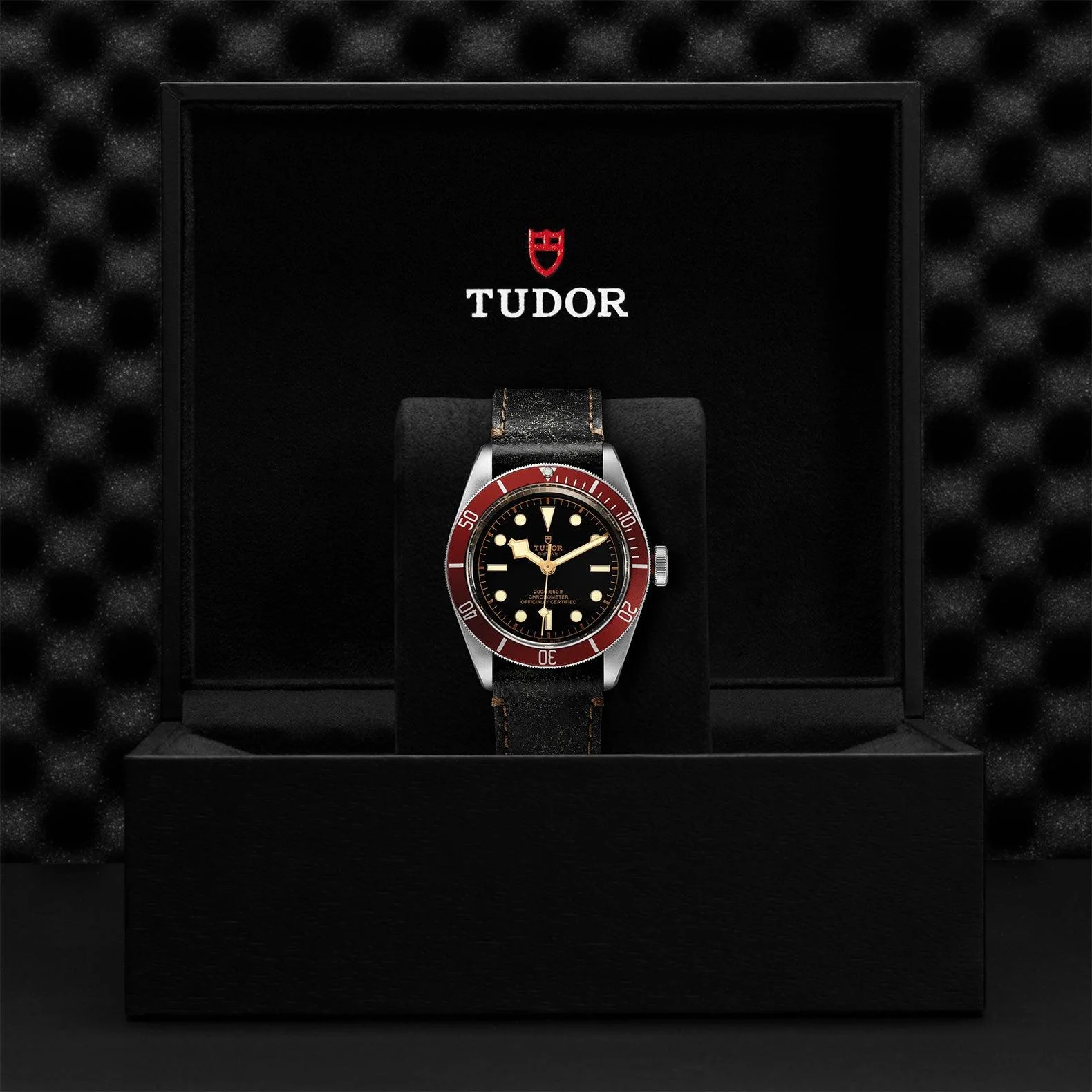 TUDOR Black Bay 41mm Steel - Image 4