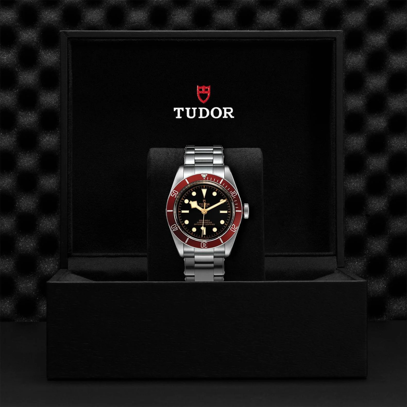 TUDOR Black Bay 41mm Steel - Image 4