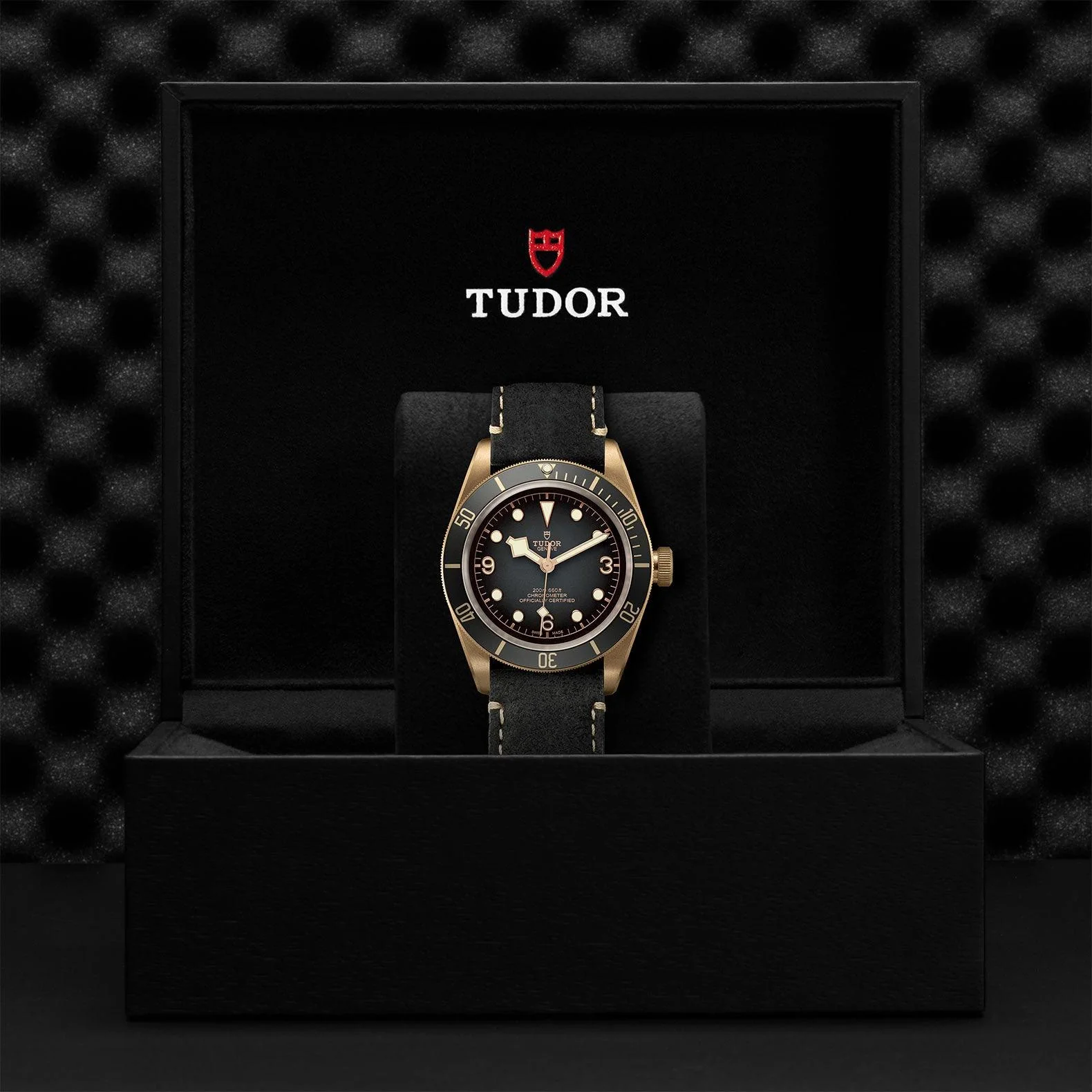 TUDOR Black Bay Bronze 43mm - Image 4