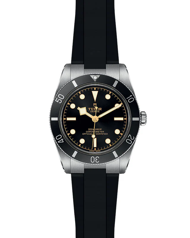 TUDOR Black Bay 54 - Image 2