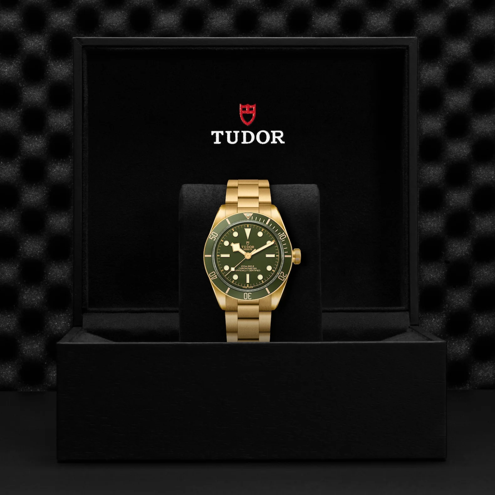 TUDOR Black Bay 58 18K - Image 3