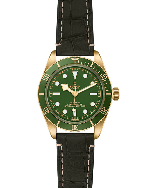 TUDOR Black Bay 58 18K - Image 2