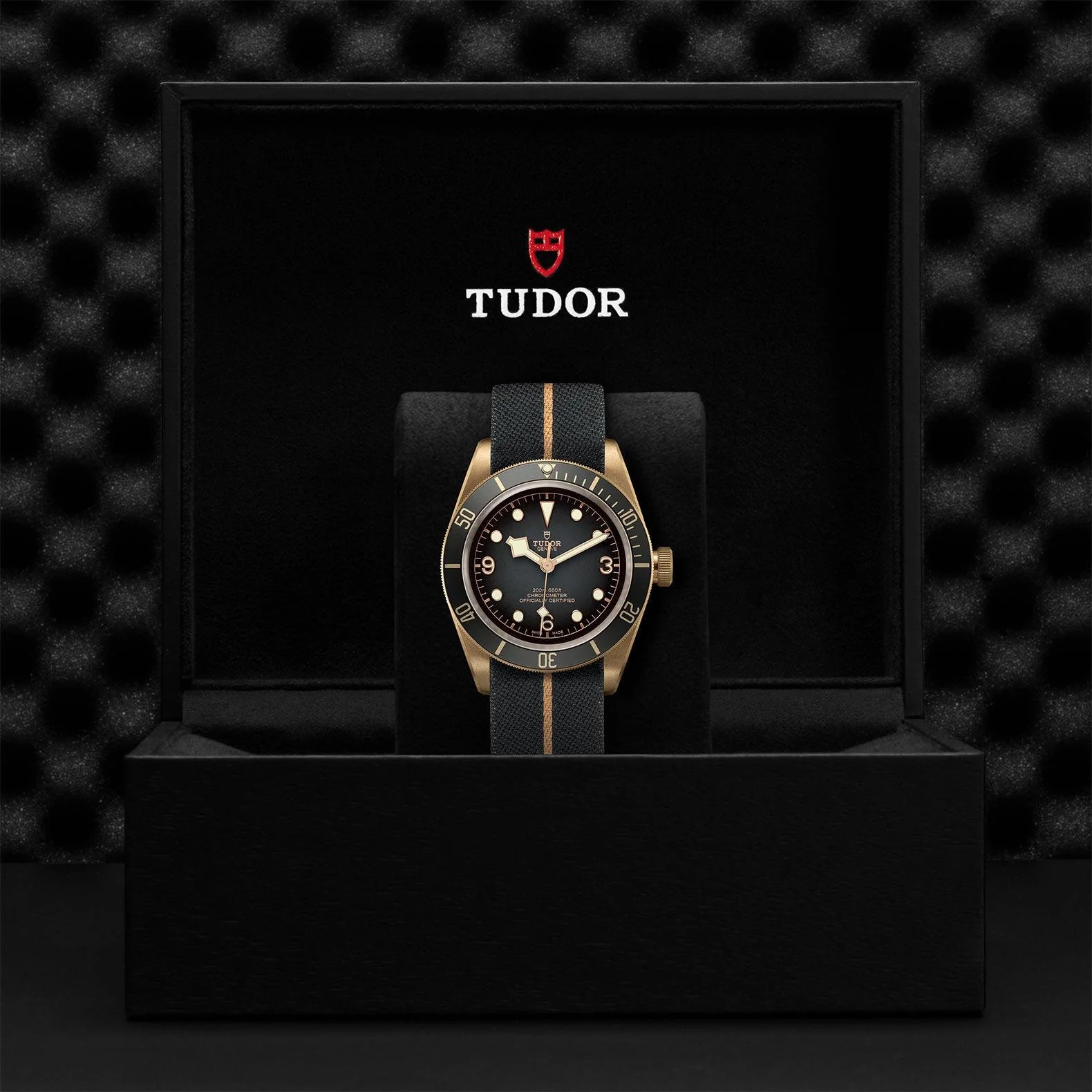 TUDOR Black Bay Bronze 43mm - Image 4