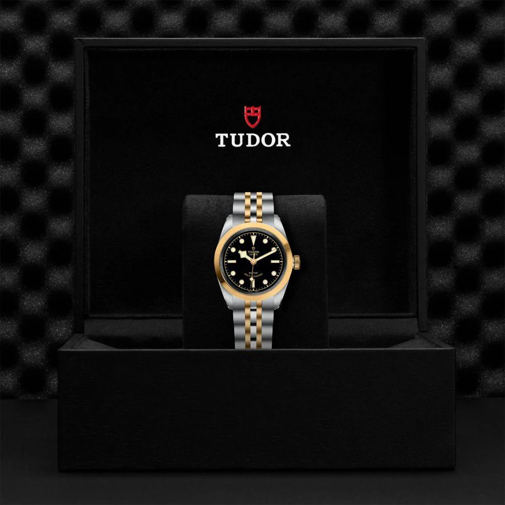 TUDOR Black Bay S&G 31mm - Image 3