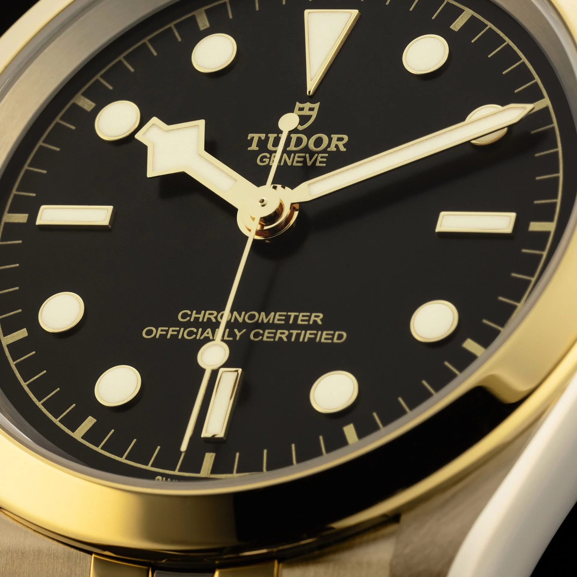 TUDOR Black Bay S&G 41mm - Image 3