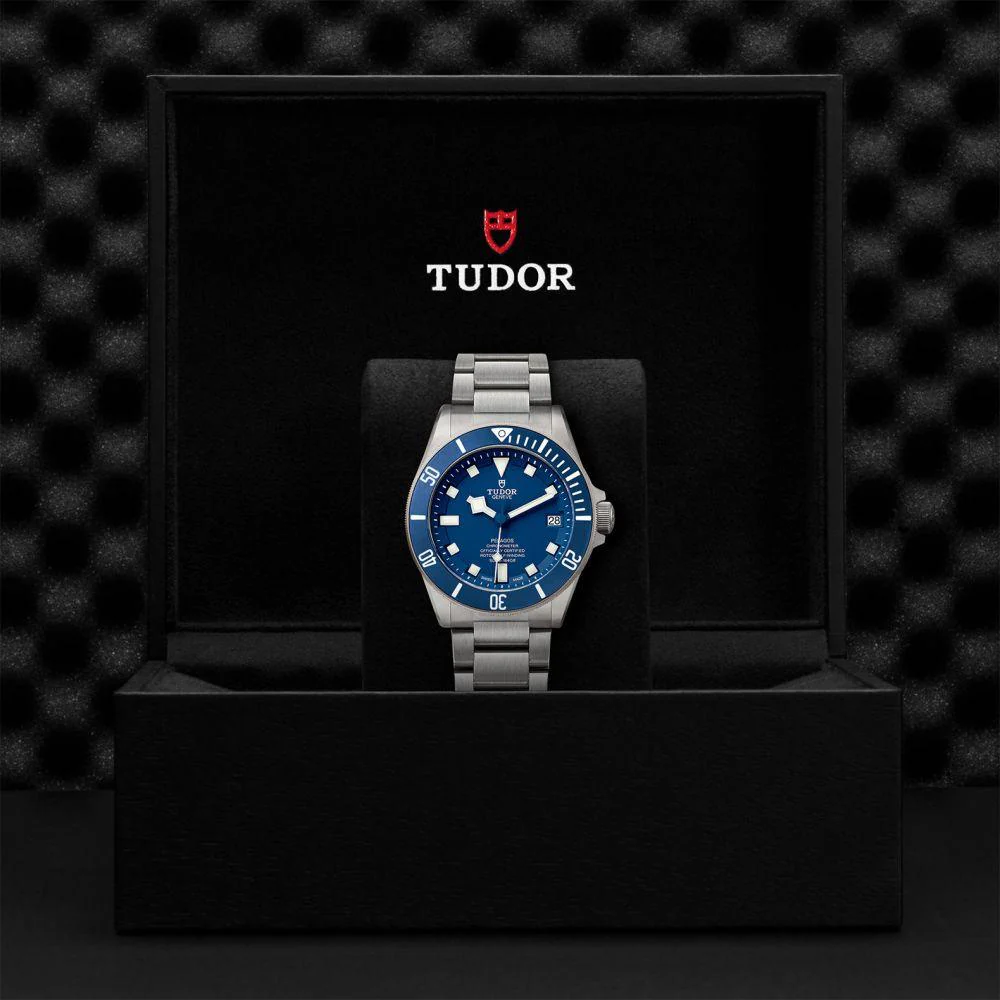 TUDOR Pelagos 42mm Titanium and Steel - Image 3